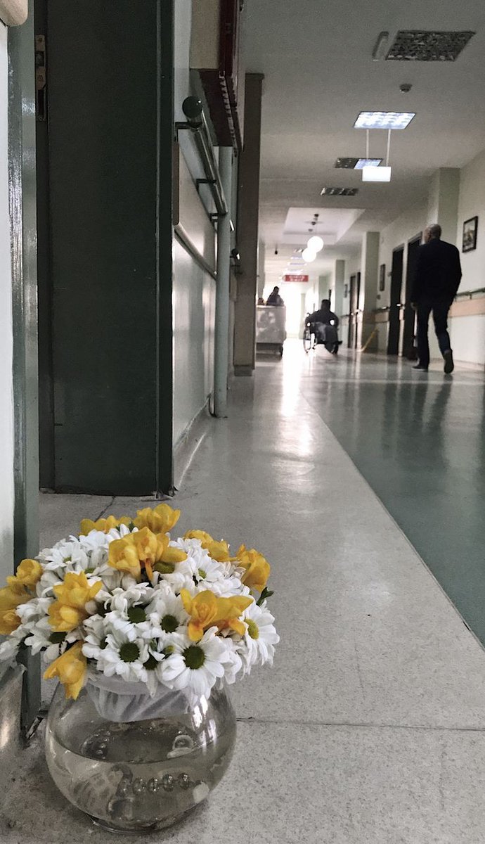 kaito 海斗 tweet media