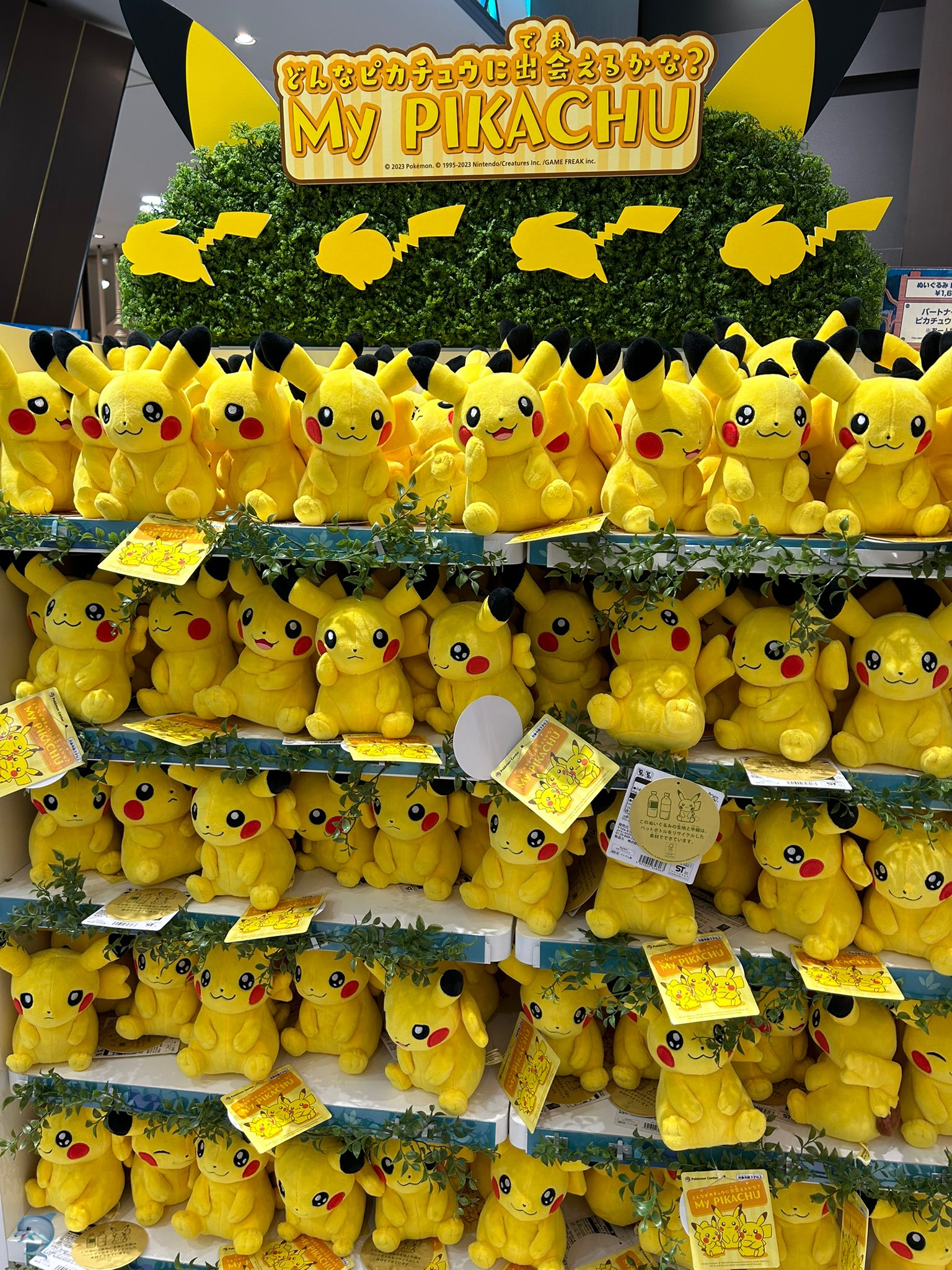 Your So Beautiful Pikachu