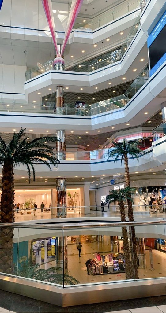 ⠀⠀⠀⠀⠀⠀⠀⠀ ⠀⠀⠀ ⠀⠀⠀
⠀⠀⠀  ⠀⠀⠀ ⸼ ࣪  📷⠀˒ @𝐂lary𝐖ood
⠀⠀⠀ ⠀⠀⠀ɪɴsᴛᴀɢʀᴀᴍ /  𝖿𝖾𝖾𝖽 𝗉𝗈𝗌𝗍  ⸼ ࣪  ⠀

⠀⠀ㅤ ㅤ    ㅤ Shopping day.   ㅤ   ⠀⠀⠀⠀⠀⠀⠀⠀⠀
⠀⠀ㅤ⠀⠀ㅤ⠀⠀#𝗦𝗨𝗡𝗗𝗔𝗬
⠀⠀⠀⠀⠀⠀