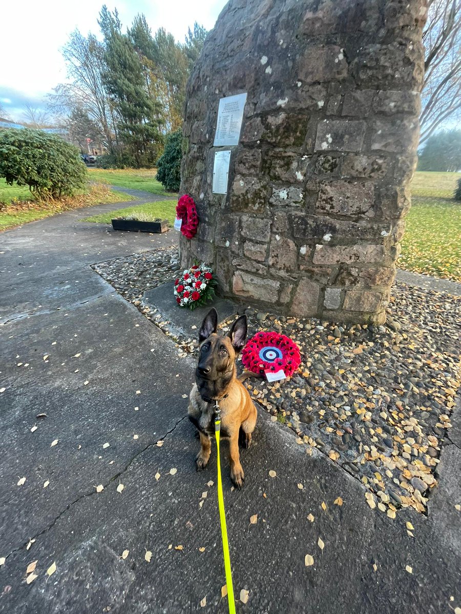 #TPDThor stopped by the memorial in Strathclyde Park today to pay his respects.
#LestWeForget2023