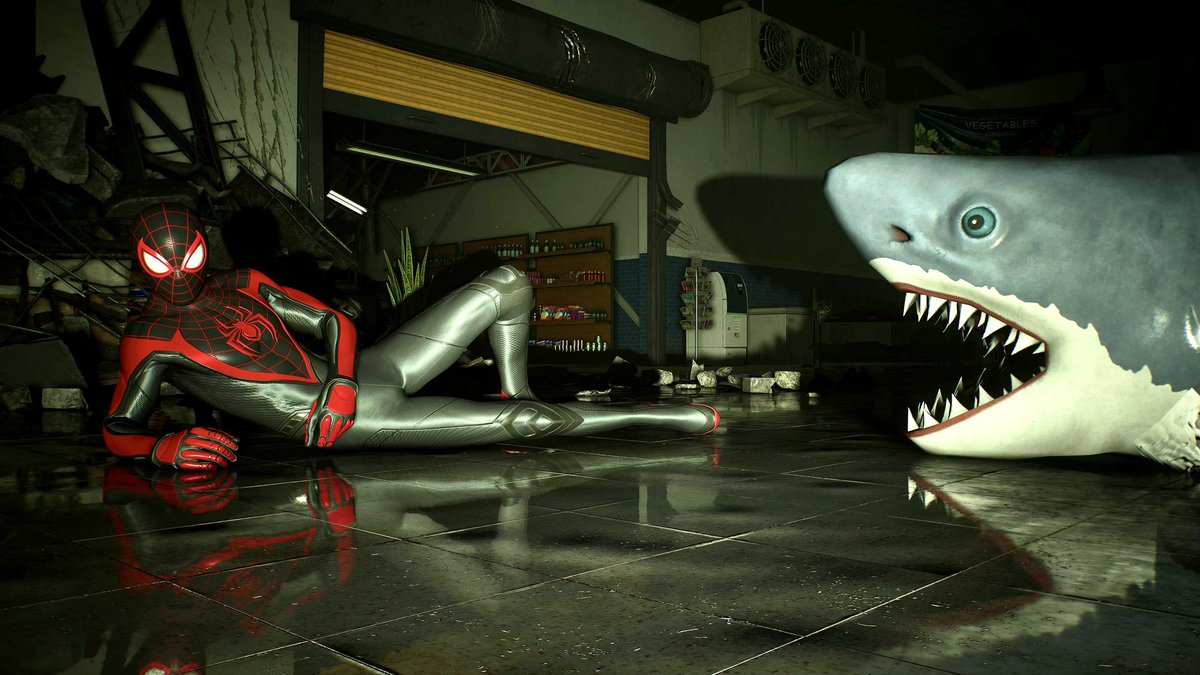 J Hammers // MPSE tweet media