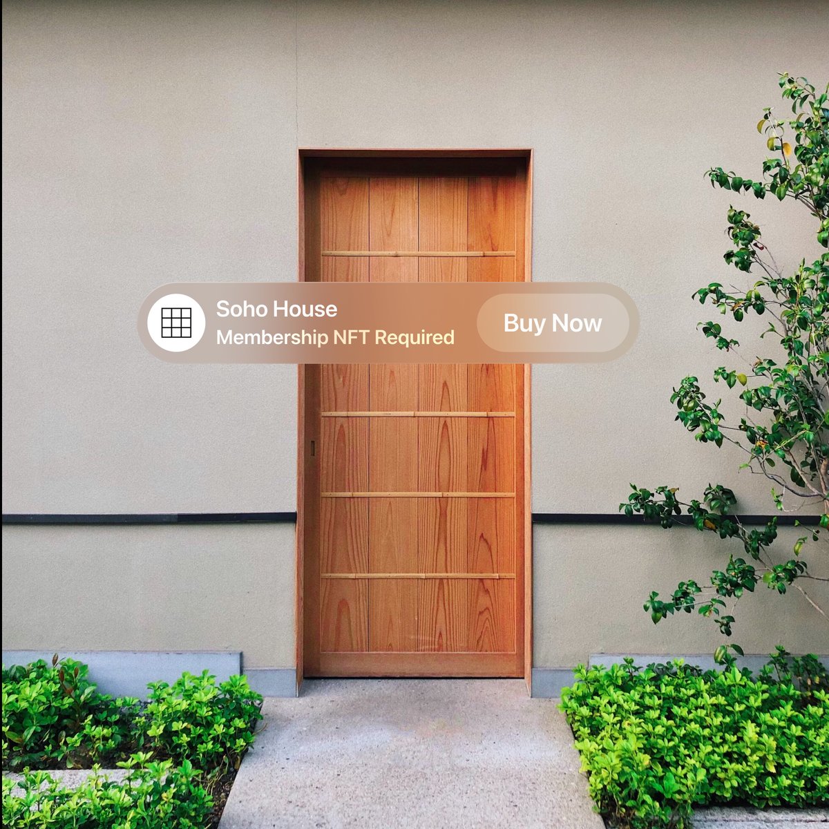 0xDesigner tweet media