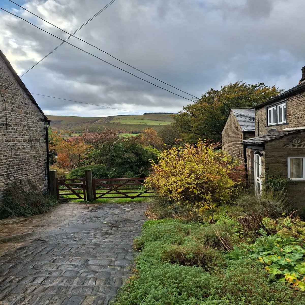 Beth Cartwright tweet media