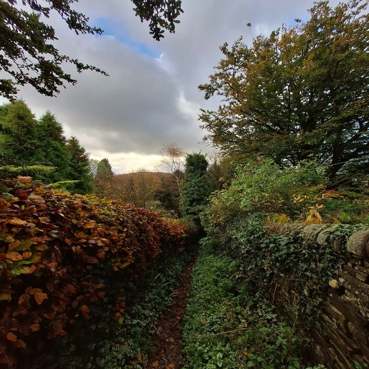 Beth Cartwright tweet media