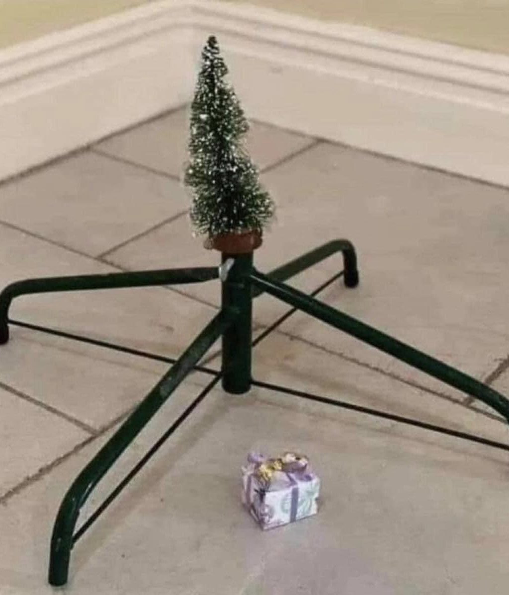 ℂ𝕣𝕪𝕡𝕥𝕠𝔼𝕞𝕡𝕣𝕖𝕤𝕤🤍 tweet media