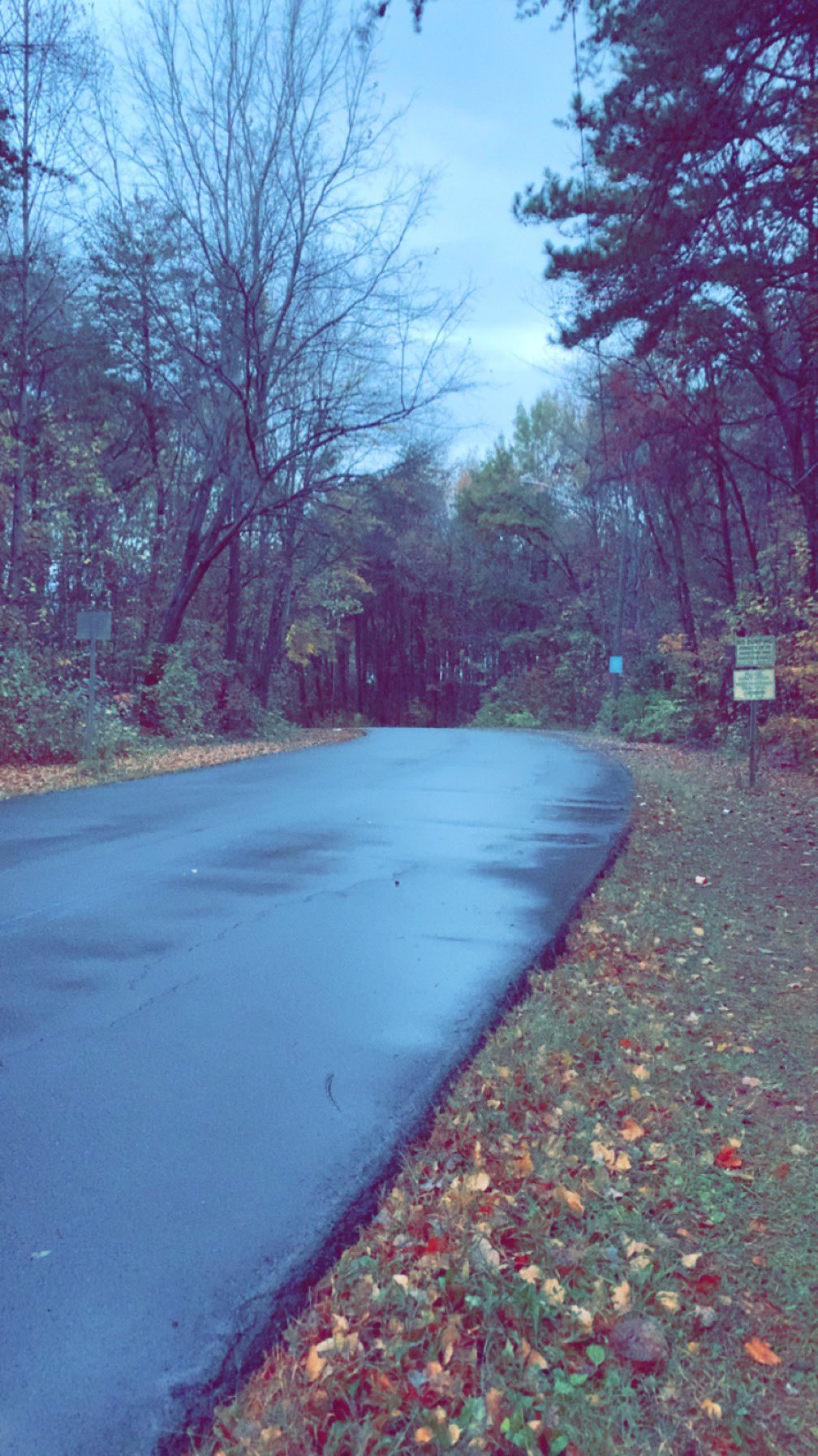 2 pic. Morning nature Autumn walks = superior 🙏 https://t.co/ErqIILvjT9