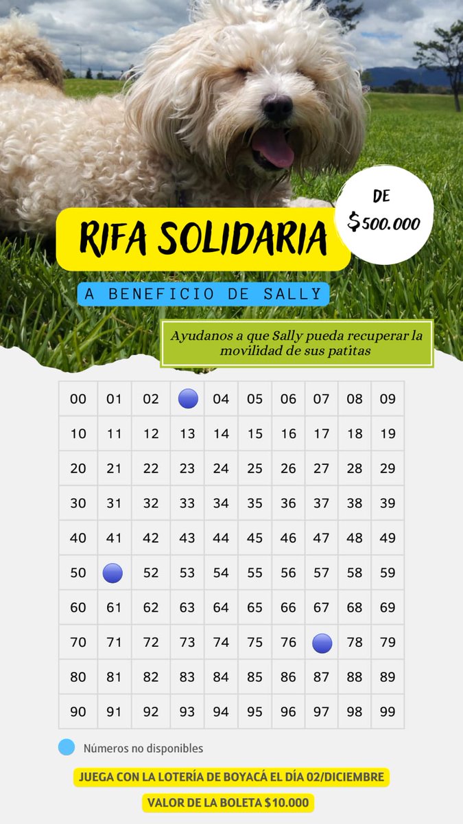Dianaa_Gz's tweet photo. Hola! Pido de su amable ayuda difundiendo o comprando para completar la cirugía de mi perrita, tiene una luxación pateral que le impide caminar y le genera dolor en la cadera, agradezco cualquier ayuda que me puedan brindar 🥺🙏🏻.
Cel/Nequi: 3236592763 https://t.co/9GOVxpXQhL