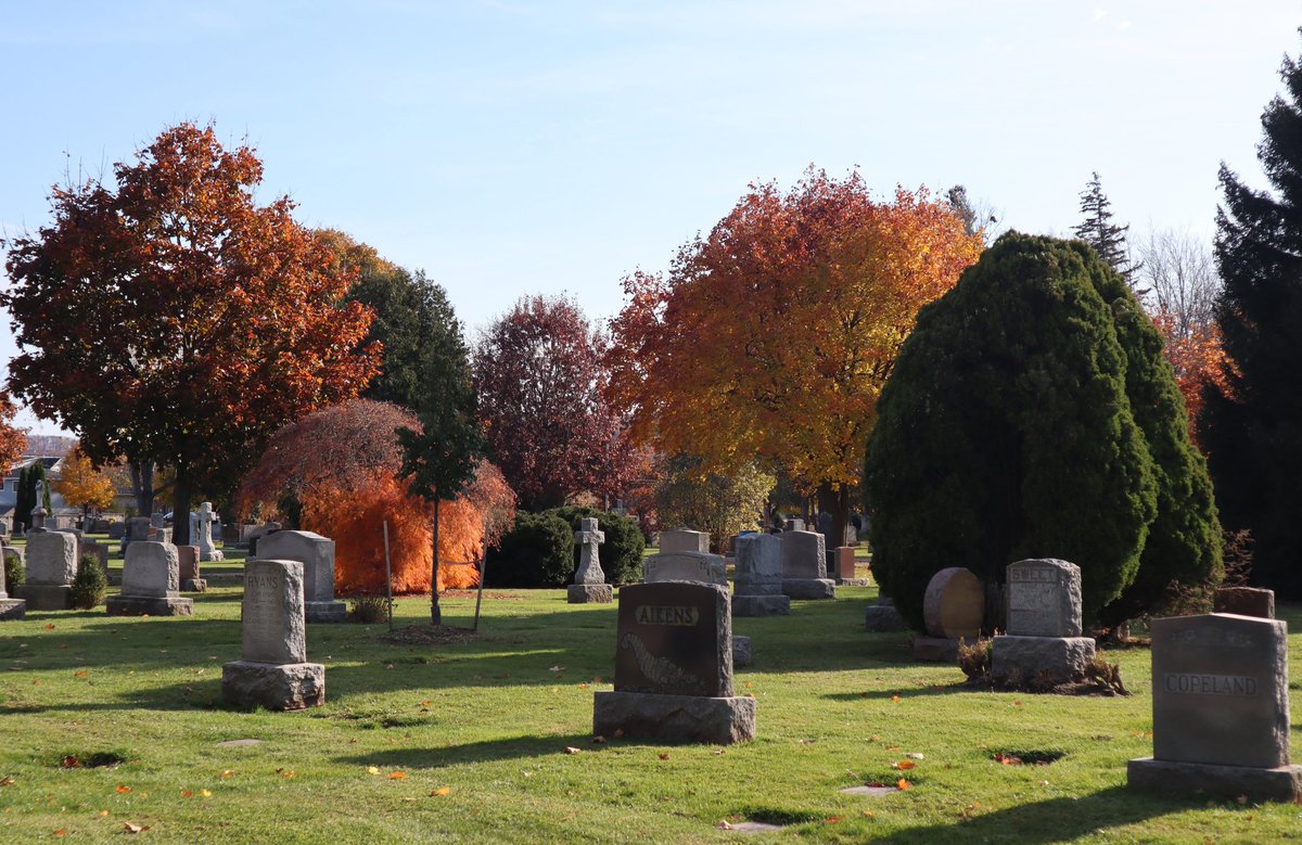 In the fall, cemeteries are such beautiful places for a walk.