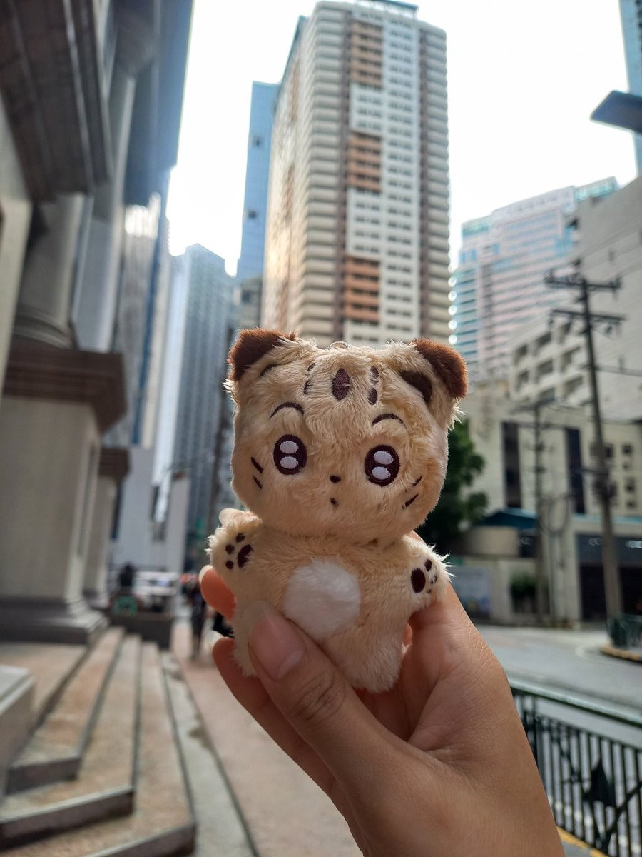 Ieebuys's tweet photo. https://t.co/zWqEiHJ3oo