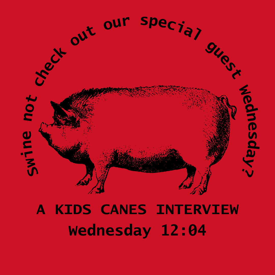 Swine Not? 
Join us Wednesday at 12:04 for a special #kidscanes interview! 
@canes #causechaos #kidshockey #hockey #pigsofx #pigsoftwitter #instapig #pigs #mostjuniorhurricanesreporter #mjhr @DtrHamilton @CardiacCane