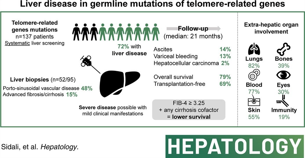 🆕Great study by @SabrinaSidali ‼️ 132 patients with telomere-related genes (TRG) mutations vs. 1190 controls: ➡️ among patients: PSVD 48%, cirrhosis 15% ⚠️ ➡️5-yr OLT-free survival 🟰 69% ➡️TRG mutations: strong risk factor for liver disease DOI: 10.1097/HEP.0000000000000667