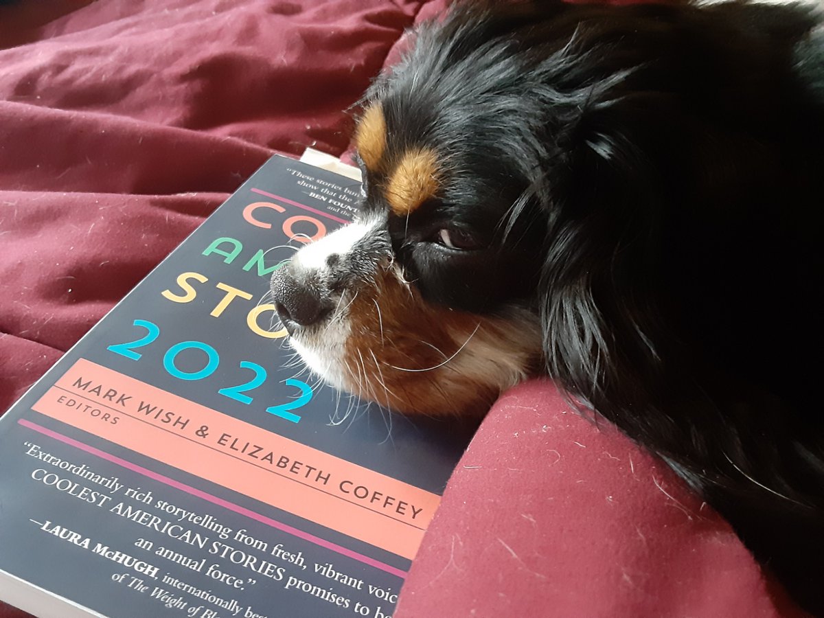 Take heart, <a href="/JustCoolStories/">COOLEST AMERICAN STORIES</a>--you've got fans.