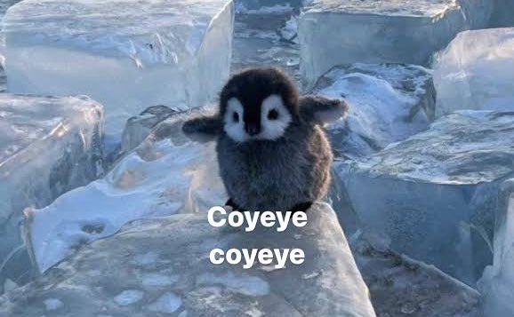 indiepostingmx's tweet image. Yo ayer en el #TecateComuna corriendo de escenario a escenario