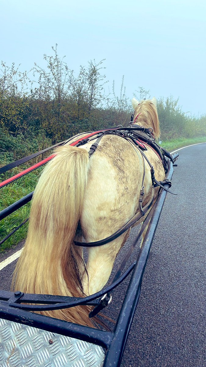 DouglasWolfgang's tweet photo. Travellers will be Travellers ✝️
Great day “Trotting”, with cousin #JimDouglas up the North today.
Good clean fun, cold though 🥶 Highly recommend x
#GypsyLife #WolfgangDouglas #RomanichalGypsy #OutdoorLiving https://t.co/91p8xUoKcT