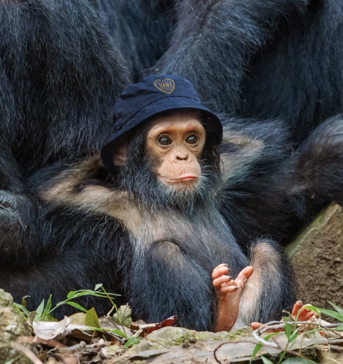 Ganamos un partido, ya me habia olvidado como se sentia