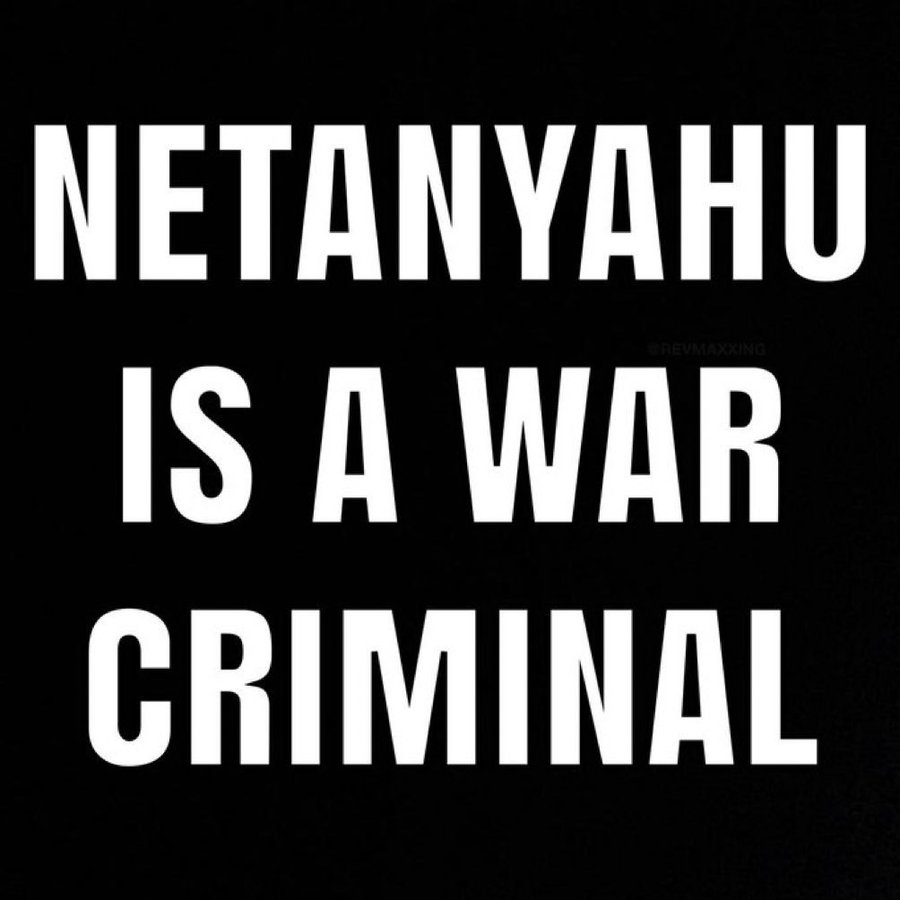 Naila Ayad🇵🇸 tweet media