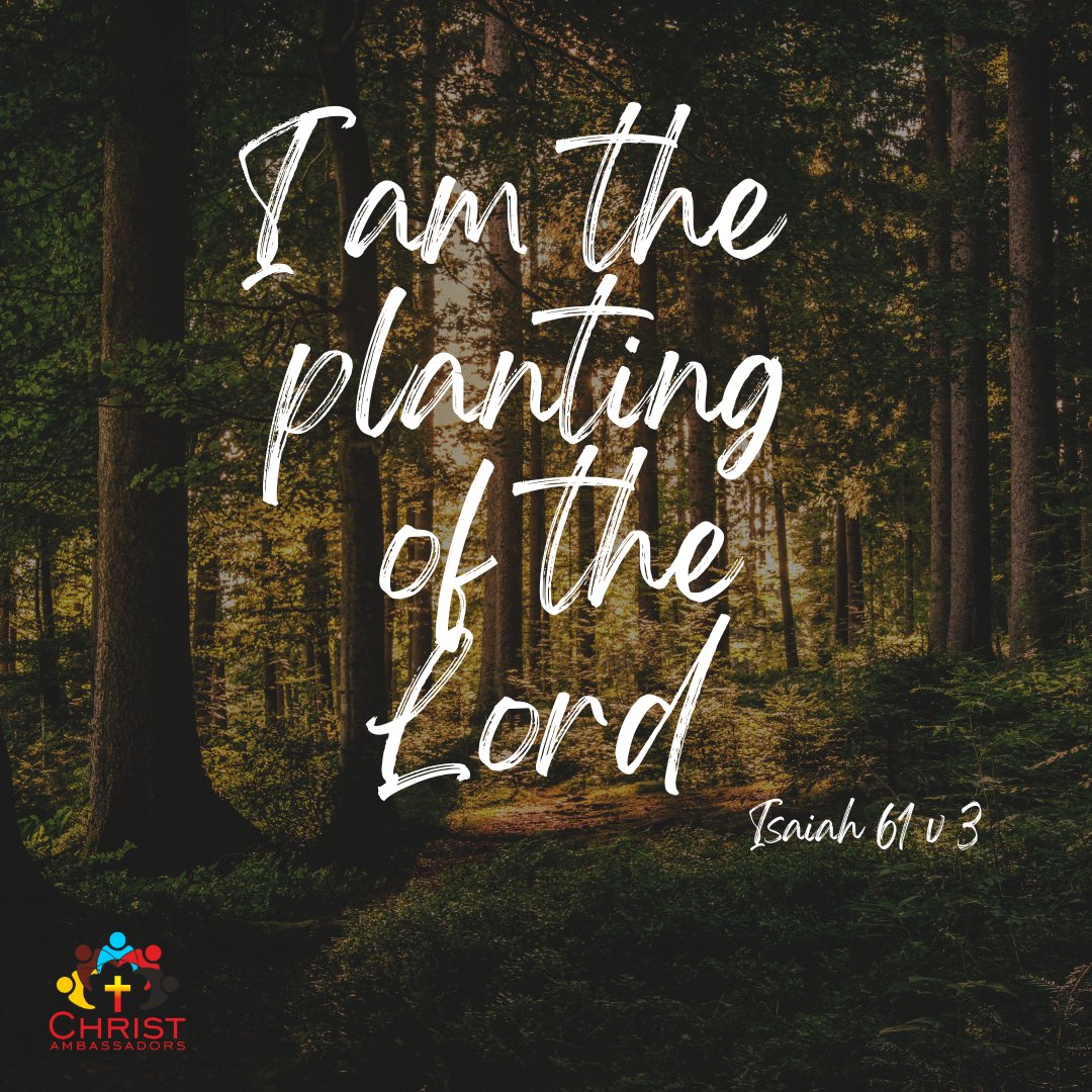 ChristAofZion's tweet photo. Continually bearing fruits of Righteousness as a 
#SonOfGod 
#ChristAmbassador 
#SaviourFromZion
#god
#King
#Priest
#Christ
#HeirOfSalvation

#BlessedBeGod
 Abba Father. https://t.co/Q96XtbEmlK