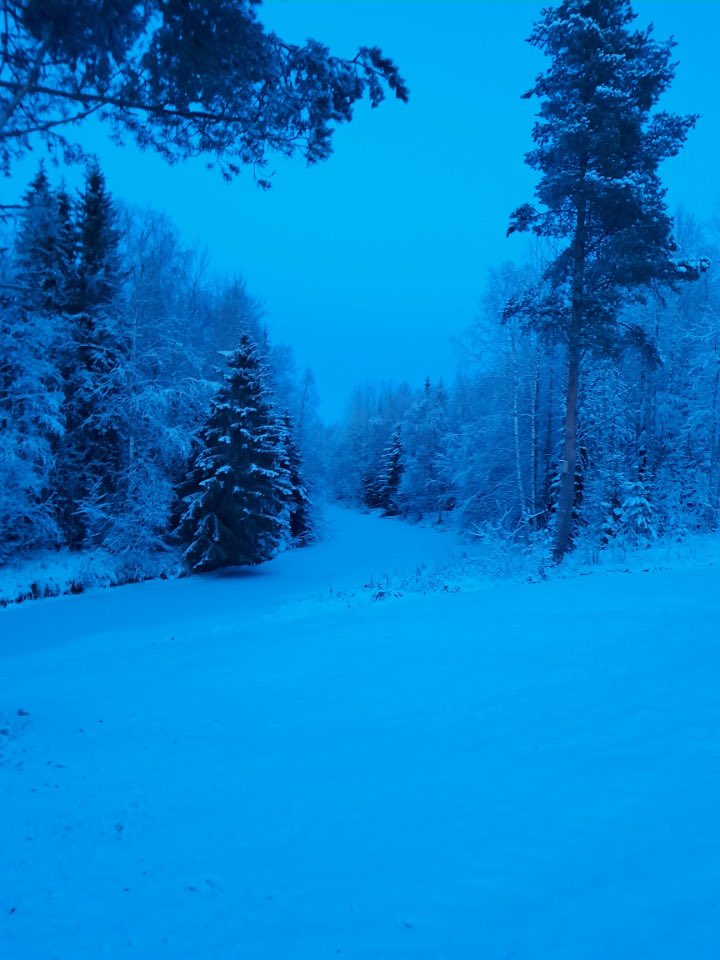 Isä lähetti kuvan mökiltä. Kuvan maisema on kuin isä – rauhoittava ja rakas ❤️ #isäinpäivä #hyvääisäinpäivää #sininenhetki