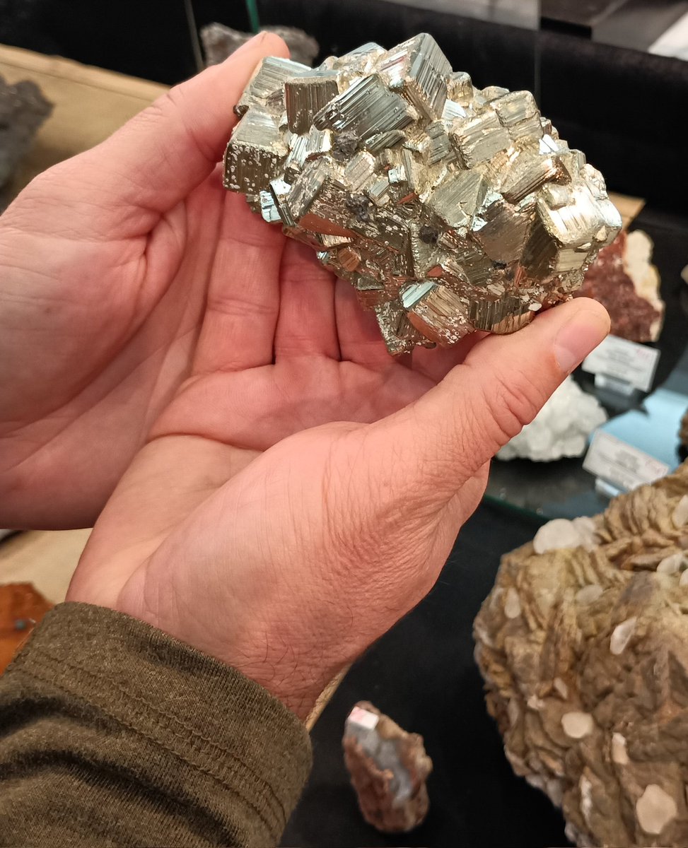JohnRMoffitt's tweet photo. This weekend at the Houston Gem, Mineral and Fossil Show.
#HGMS https://t.co/MBEGQx7vO1