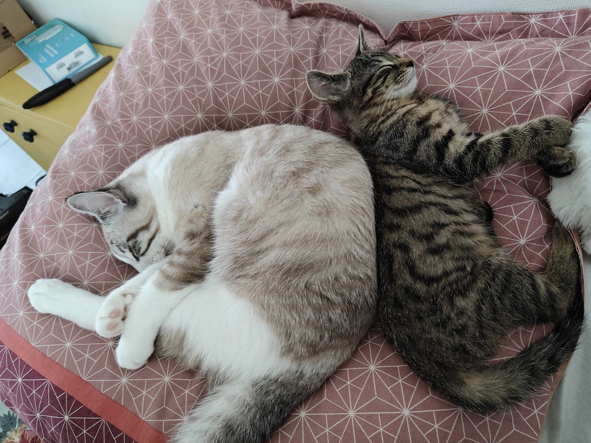 Humain en gare 🚉 tweet media