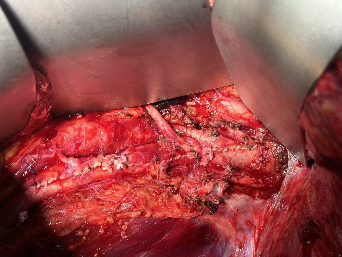 Jeromy Brink, MD tweet media