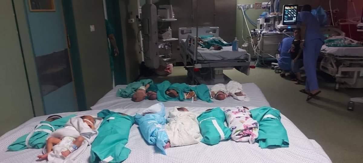 Israeli tanks surround Al-Shifa Hospital in Gaza and cut off power to the hospital.
Israel kills neonates in nurseries and patients on ventilators
#israel_kills_babies 
#IsraelKillsKids 
#stopIsraeliTerrorism 
#StopGenocide 
#FreePalestine