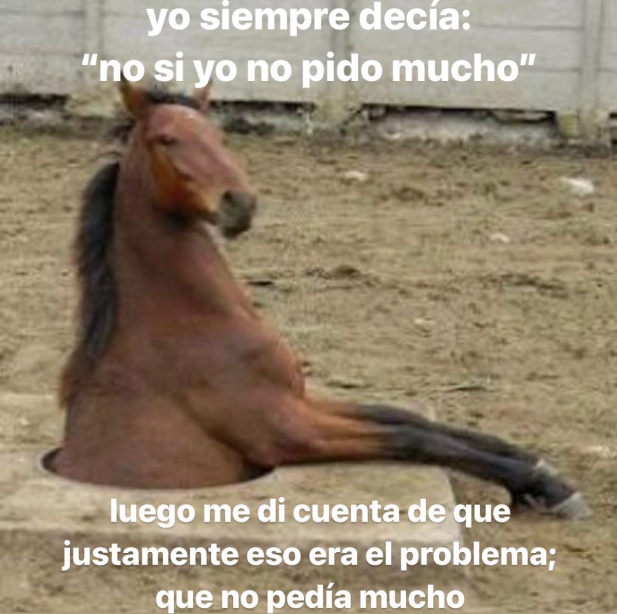 y justamente el problema era que yo no pedía mucho 🐴