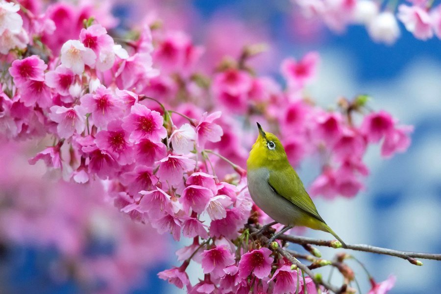 ℭristiαne ❀ tweet media