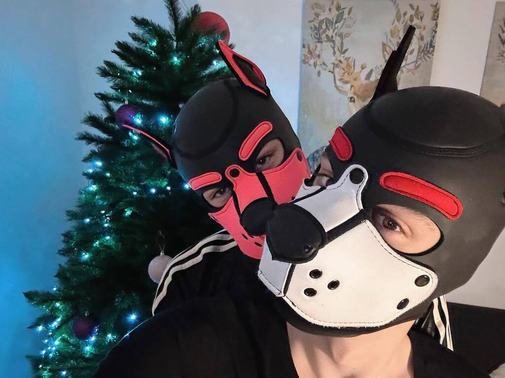 Pup Zack tweet media