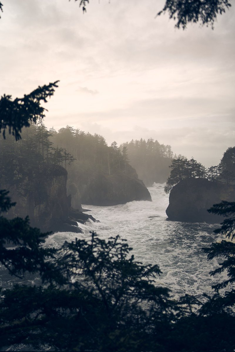 Nothing beats the mountains in PNW. 

This was taken during a 3 day road trip around the Olympic National Park and let me tell you 3 days are NOT enough. We saw everything from beaches to rain forests to snow-capped mountains.