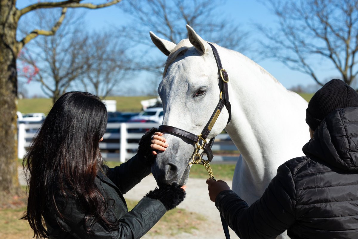 Meeting our new unicorn, Lovely Caroline  (by Tapit), and giving her peppermints🦄💙🍬 She is in foal to McKinzie #KEENOV