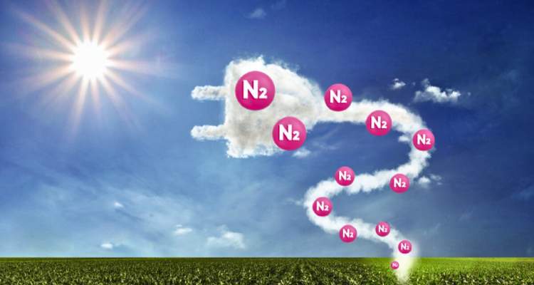 Mientras la #biotecnología, en su vertiente más conocida en la #industria #agrícola, involucra la manipulación de material genético, la #tecnologíabiológica aplica #innovación y #ciencia en organismos vivos: revistacontacto.com.mx/productos-biol…