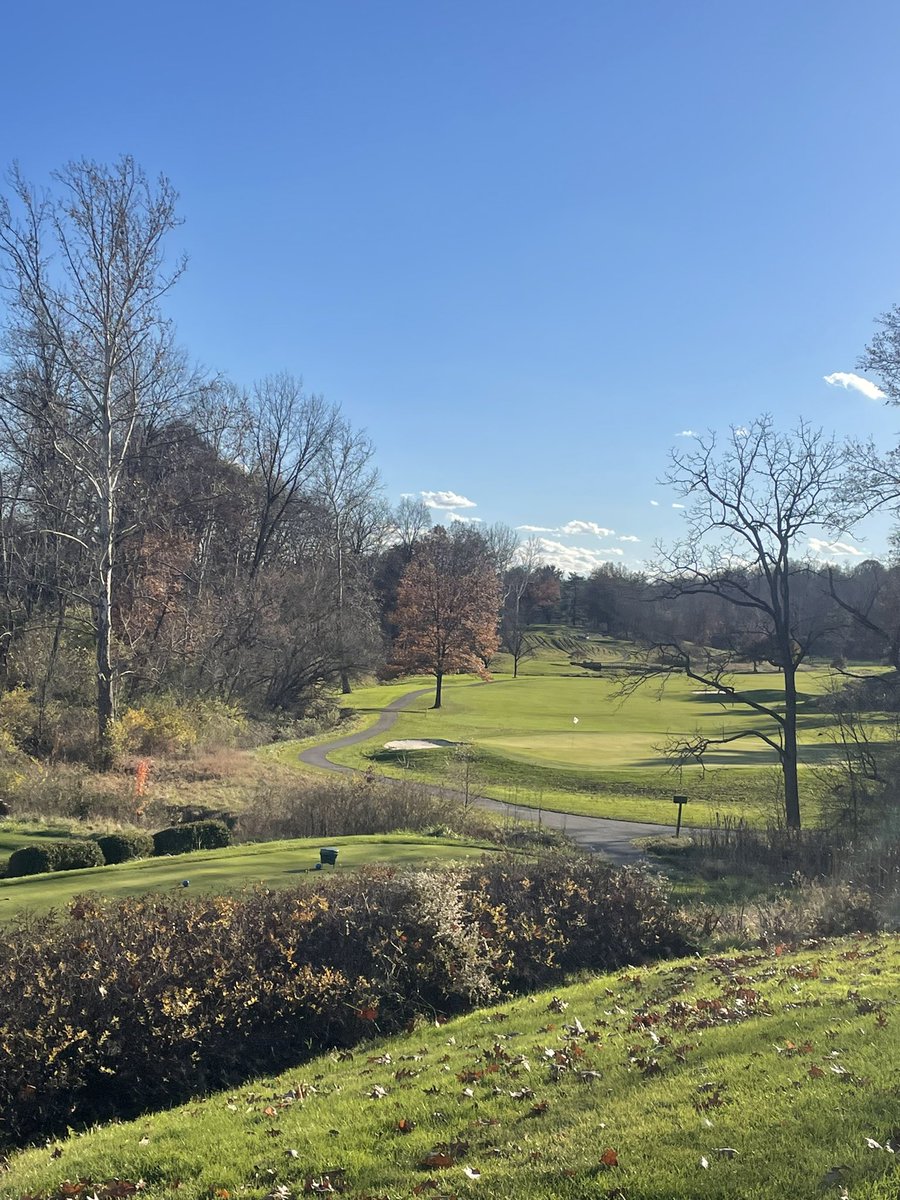 ZCC - Always Beautiful