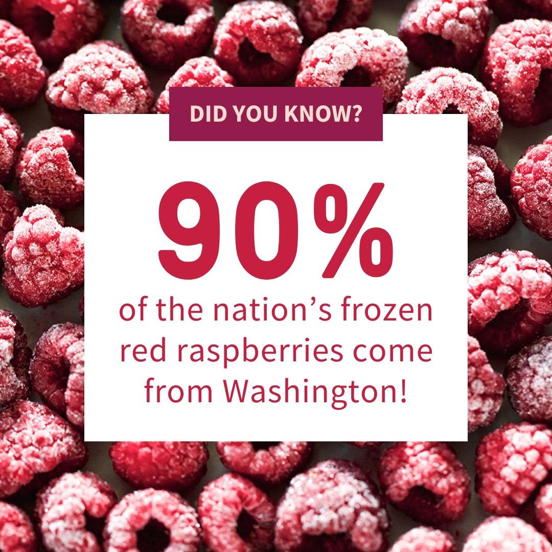 In a cool, marine climate Washington produces  90% of the nation’s frozen red raspberry crop. Freezing raspberries within hours of being picked at the peak of ripeness preserves the fruit’s integrity, flavor and nutrition value, so you can enjoy this nutritious fruit year-round!