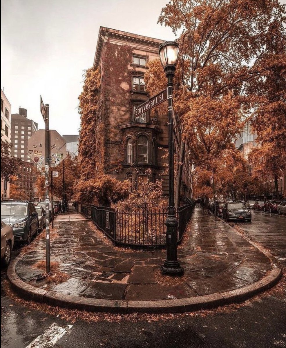 Autumn in a New York minute.