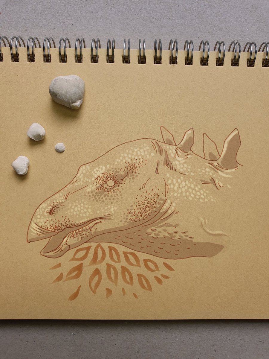 ConfusedHadro's tweet photo. #Archovember Day 12: Miragaia longicollum
#paleoart #palaeoart #dinosaur #art #dinovember #Miragaia #Stegosauria #Thyreophorav https://t.co/y4uo02vZqQ