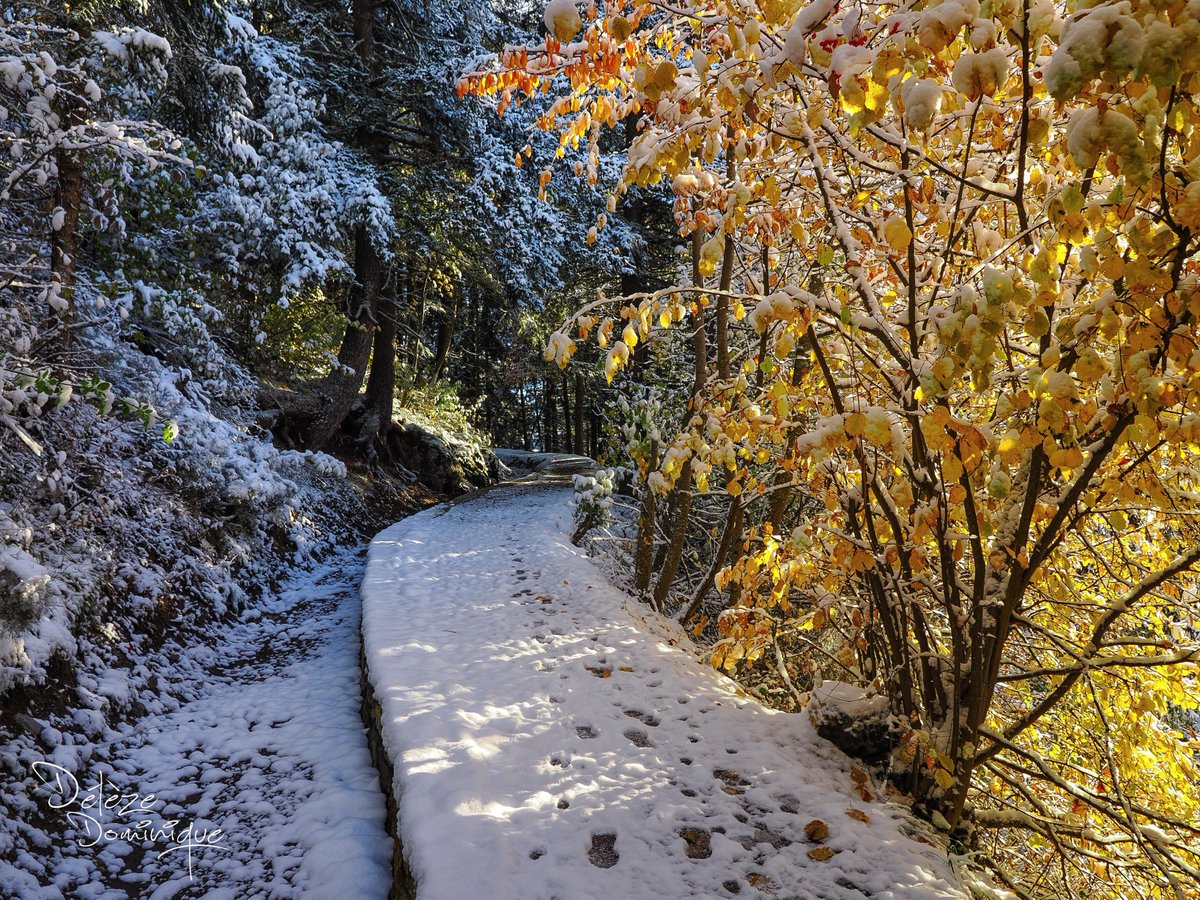 Sur un joli petit chemin, Anzère ❄️💛😍🇨🇭
#suisse #switzerland #schweiz #landscape #photography #paysage #nature #winter <a href="/MySwitzerland_e/">Switzerland</a> <a href="/valaiswallis/">Valais/Wallis</a> <a href="/Anzere365/">Anzère365</a>