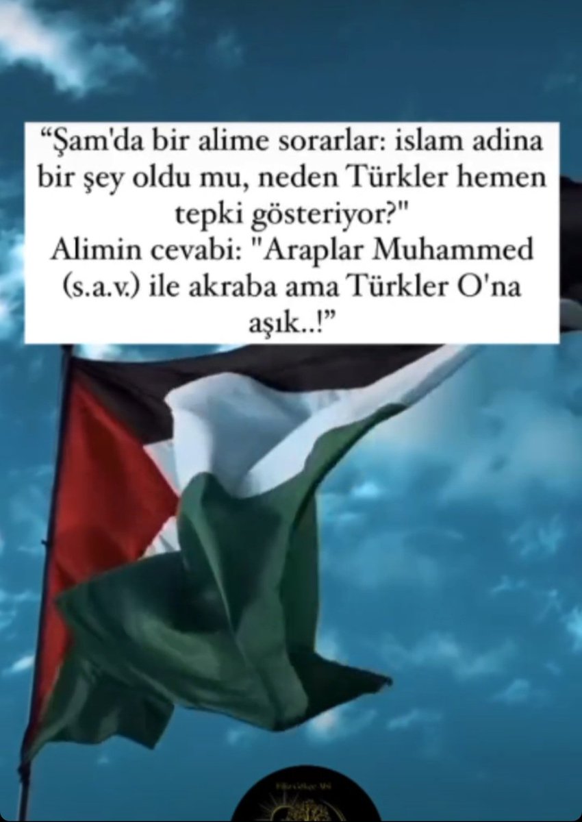 soner84140380's tweet photo. @veysi_ATAY47 https://t.co/JE8dtOsPNu