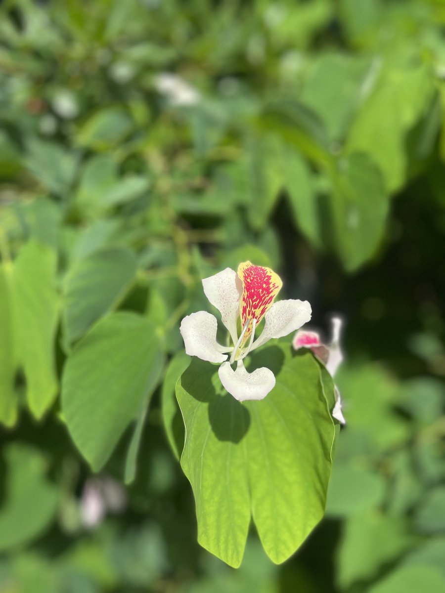 Moco (@mocospace) on Twitter photo 