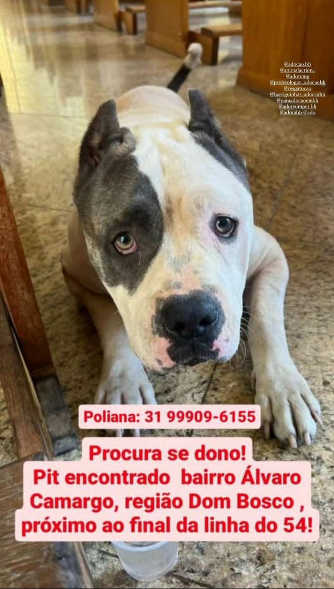 P R I E T O tweet media