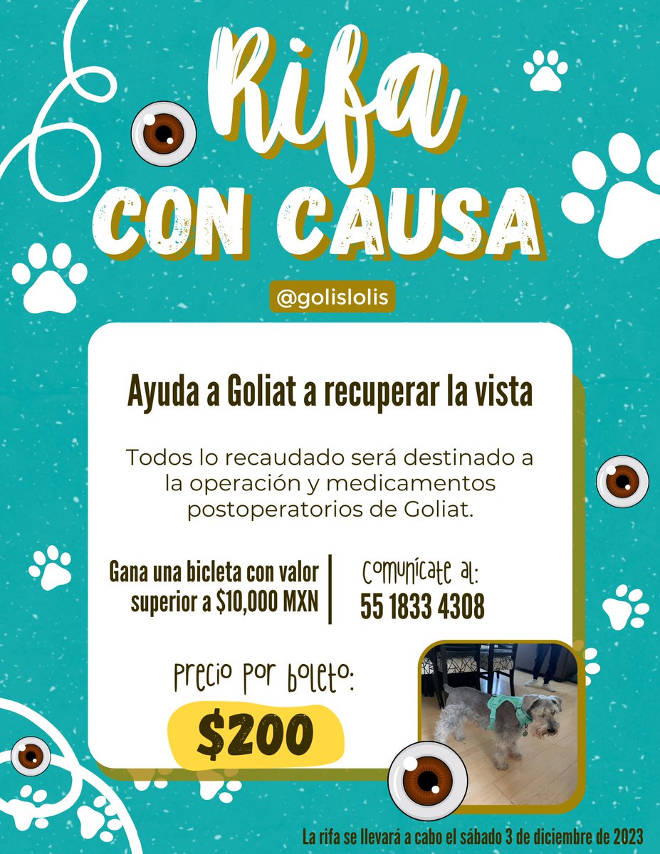 moncrivelli's tweet photo. Estamos rifando una “La mil amores” de Chop Chop Bikes 🚲🐾
Por fa ayúdenme a compartir para que la información llegue a todos los interesados 🙏🏻🎟️
Si quieren más info pueden escribirme 
#dog #perros https://t.co/40rhSwfvQP