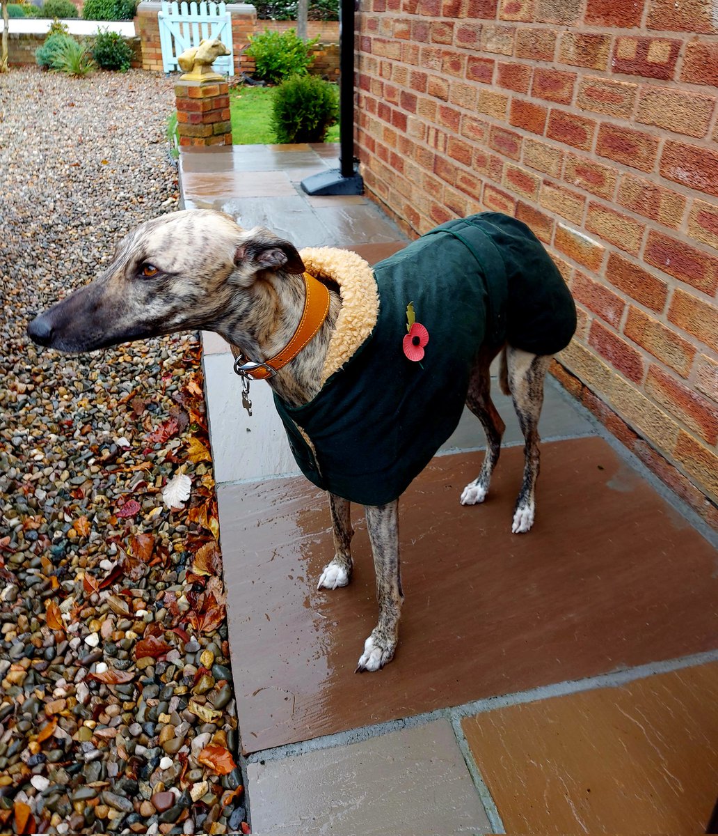 Went out wiv me poppy on today