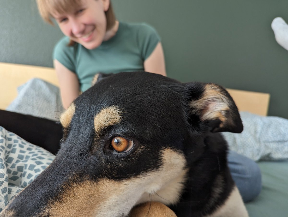 Max Neal 🎮 tweet media