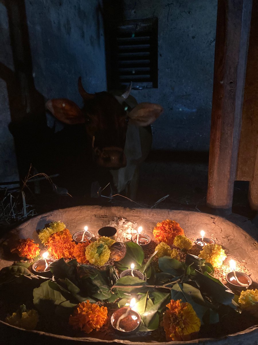 vijeshetty's tweet photo. ಆಟಿದ ಅಮಾಸೆಗ್,
ಸೋಣದ ಸಂಕ್ರಾಂತಿಗ್,
ಬೊಂತೆಲ್ದ ಕೊಡಿಪರ್ಬೊಗು,
ಈ ಊರ ಬಲಿ ಕೊನಲ, ಆ ಊರ ಪೊಲಿ ಕನಲ ಬಲ್ಲೇಂದ್ರ !!

ತುಡರ್ ಪರ್ಬೊದ ಎಡ್ಡೇನೇ ಮದಿಪು!
#TulunadaTudarParba #Tulunad #TuluOfficialinKA #Deepavali https://t.co/LgGCL1qSR2