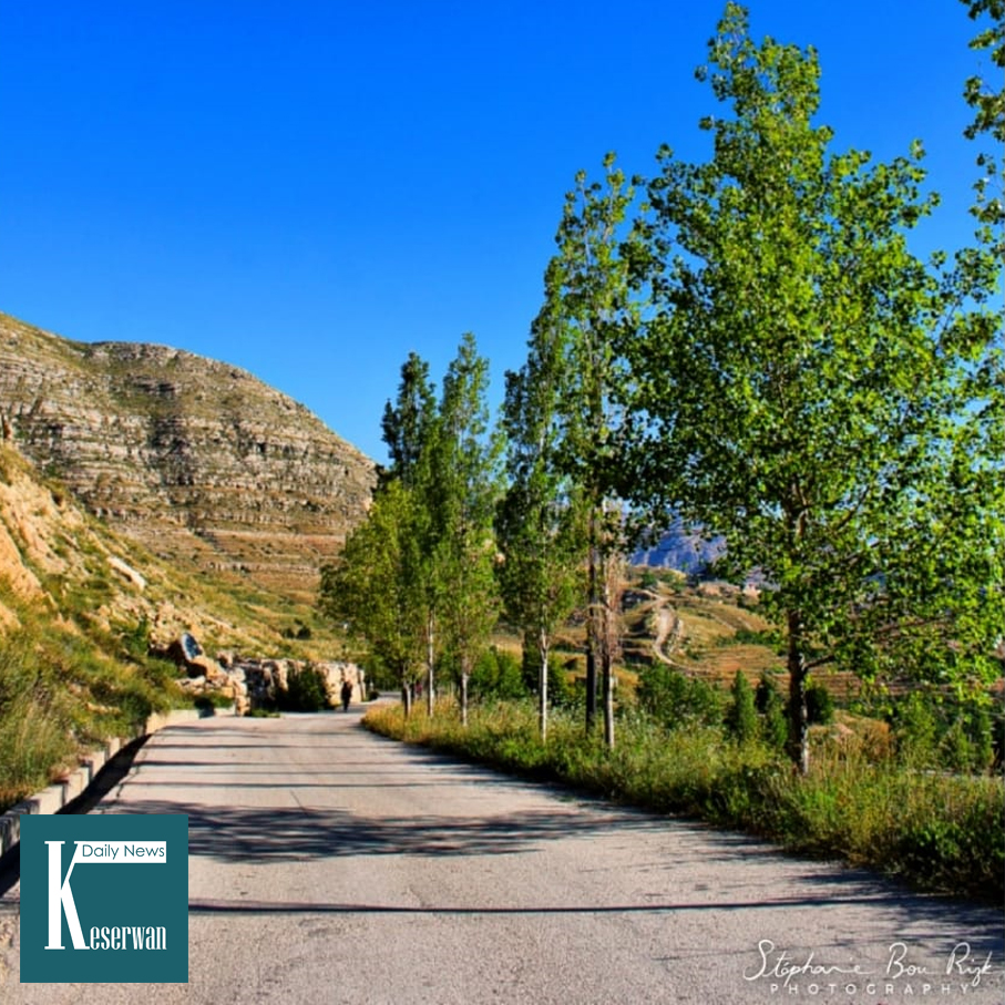 صباح الخير من #فاريا
#KeserwanDailyNews #KDN
📷 Stéphanie Bou Rizk