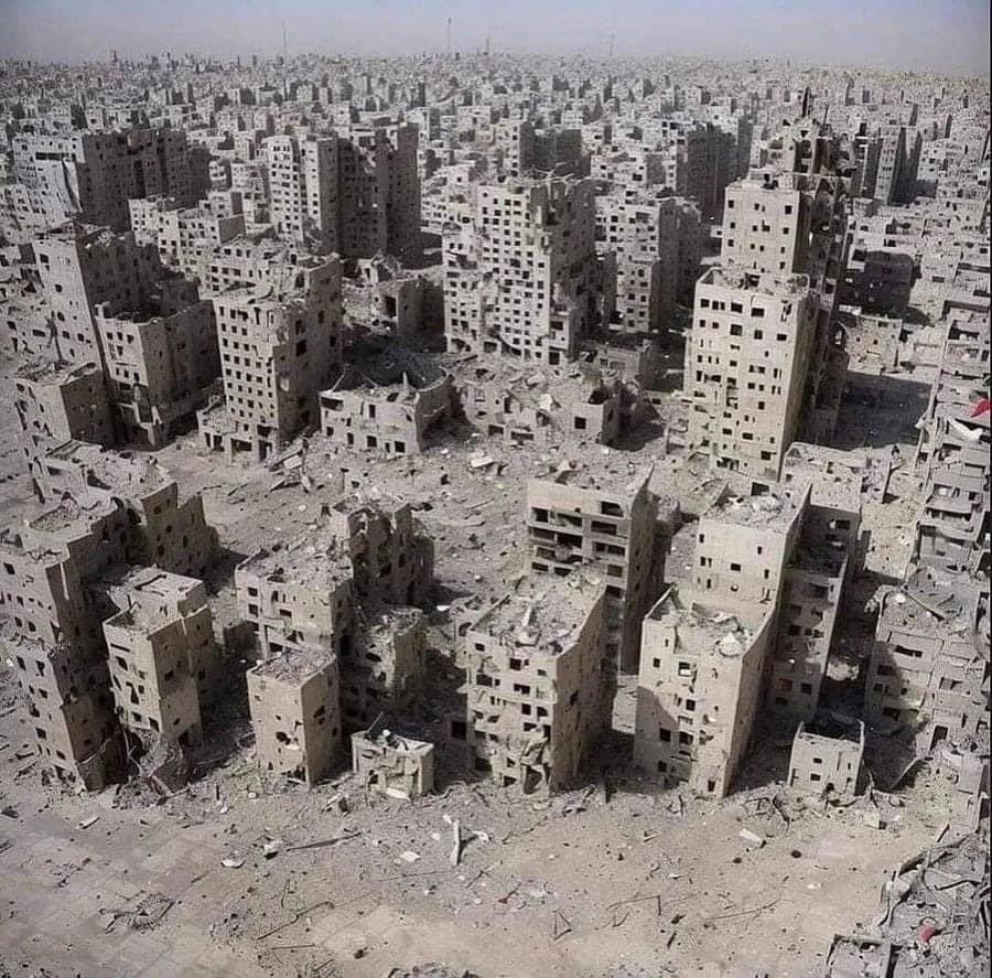 Nourdeen Wildeman tweet media