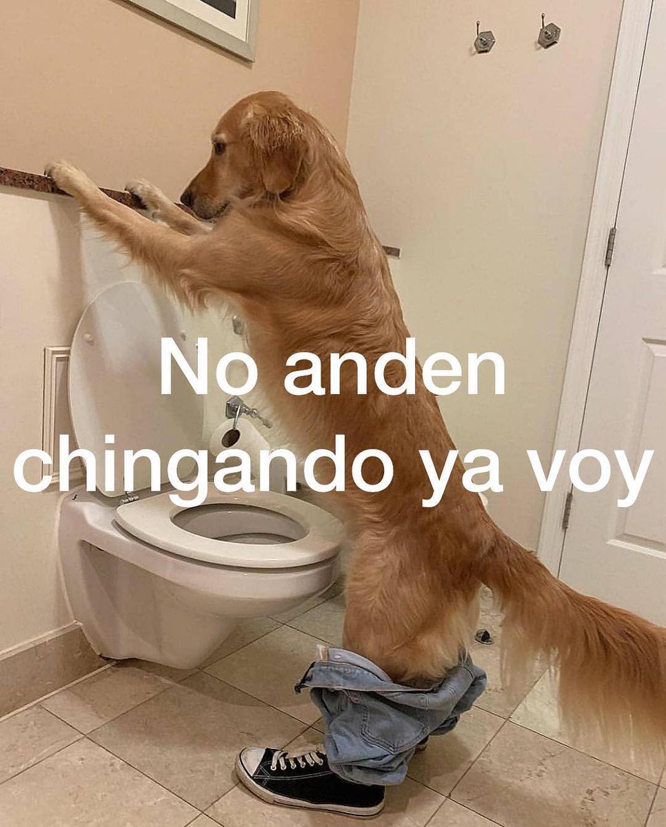 memesenlosgenes (@memesenlosgenes) on Twitter photo 