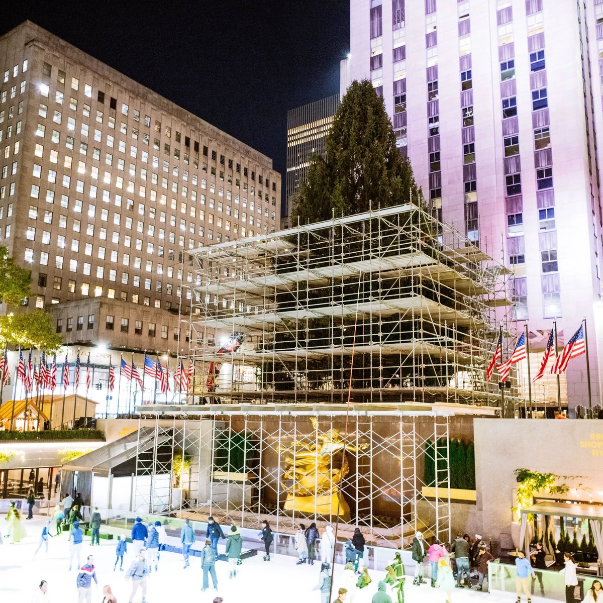 The view from the Tree’s first night at Rockefeller Center. Check back on November 29 to see it sparkle 🎄