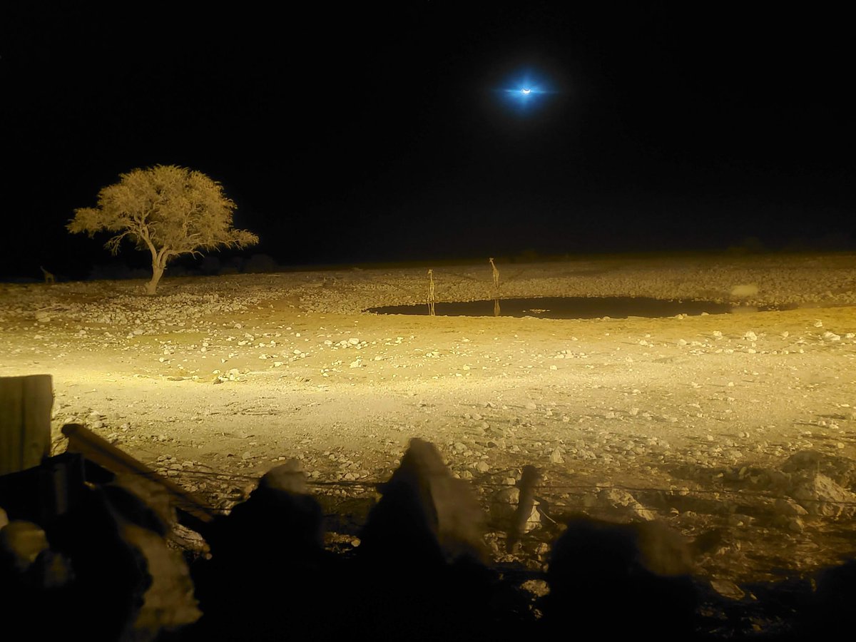 “It’s a dangerous business, Frodo, going out your door. You step onto the road, and if you don’t keep your feet, there’s no knowing where you might be swept off to.”
— Bilbo Baggins

📷 ~@steveakinsseo, Giraffes under a Namibia moon