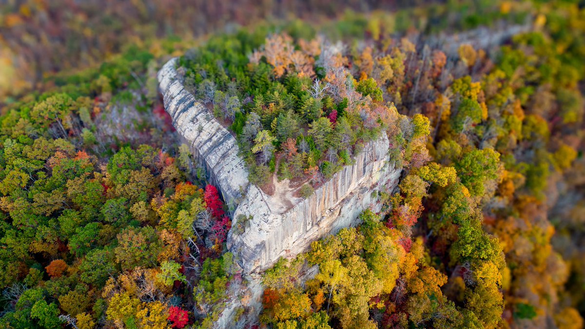 Thomas Falls tweet media